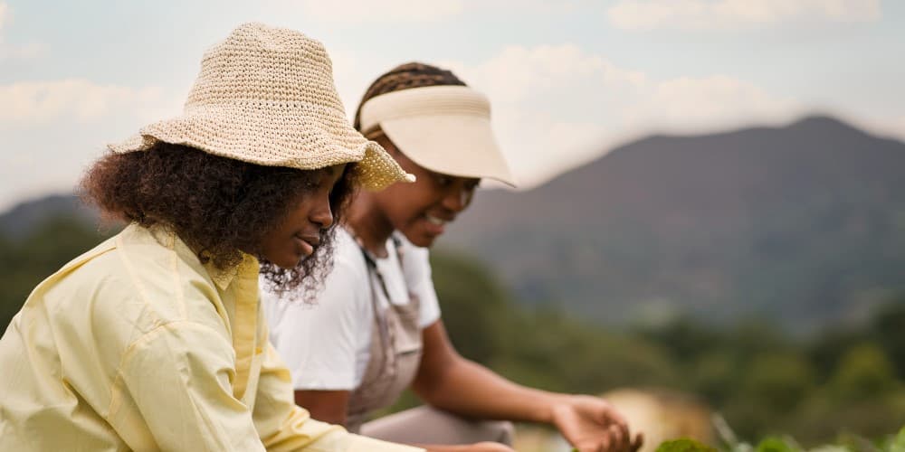 Volunteer Farmers
