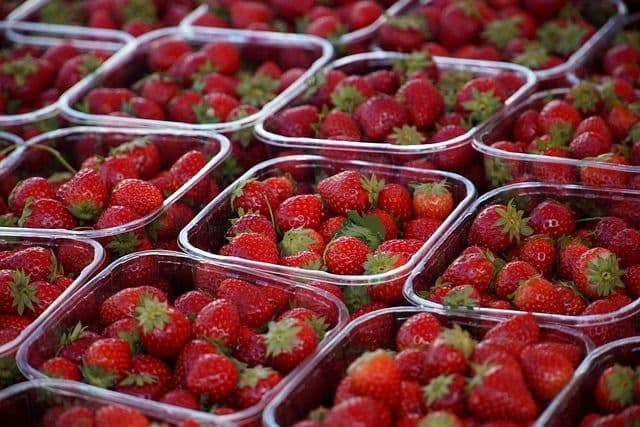 Cultivating Change: How Smart Agriculture Tackles Food Insecurity