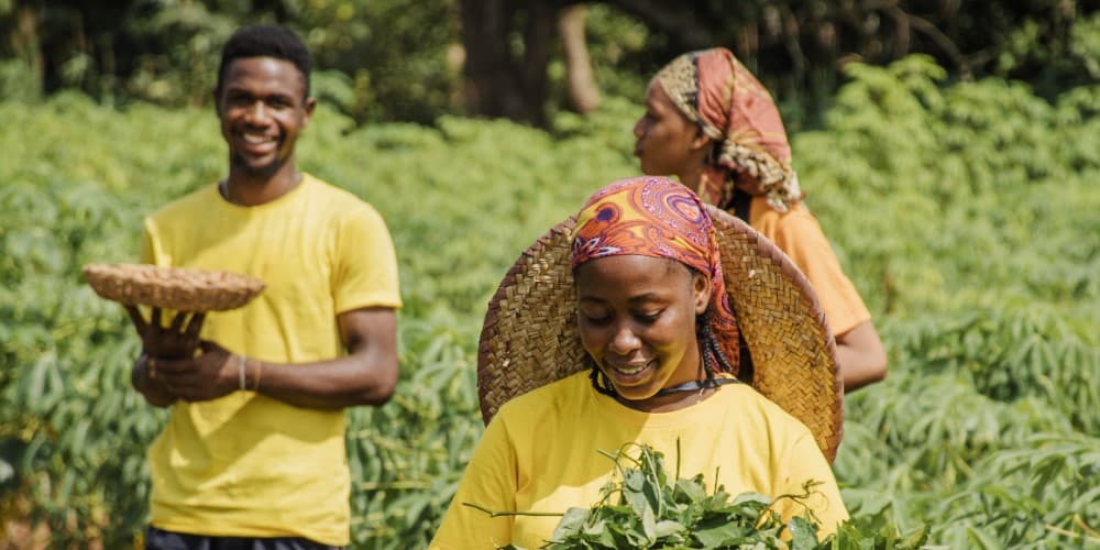 Climate-smart farming practices